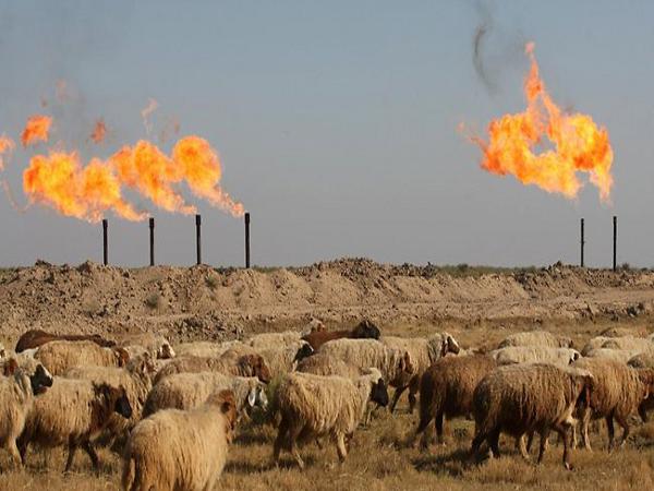 S: STANDARD OF CALIFORNIA